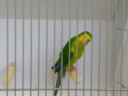 p1040733